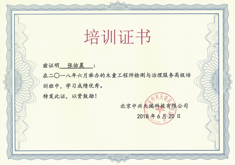 張佑晨-木童工程師檢測與治理服務(wù)高級培訓證書.jpg